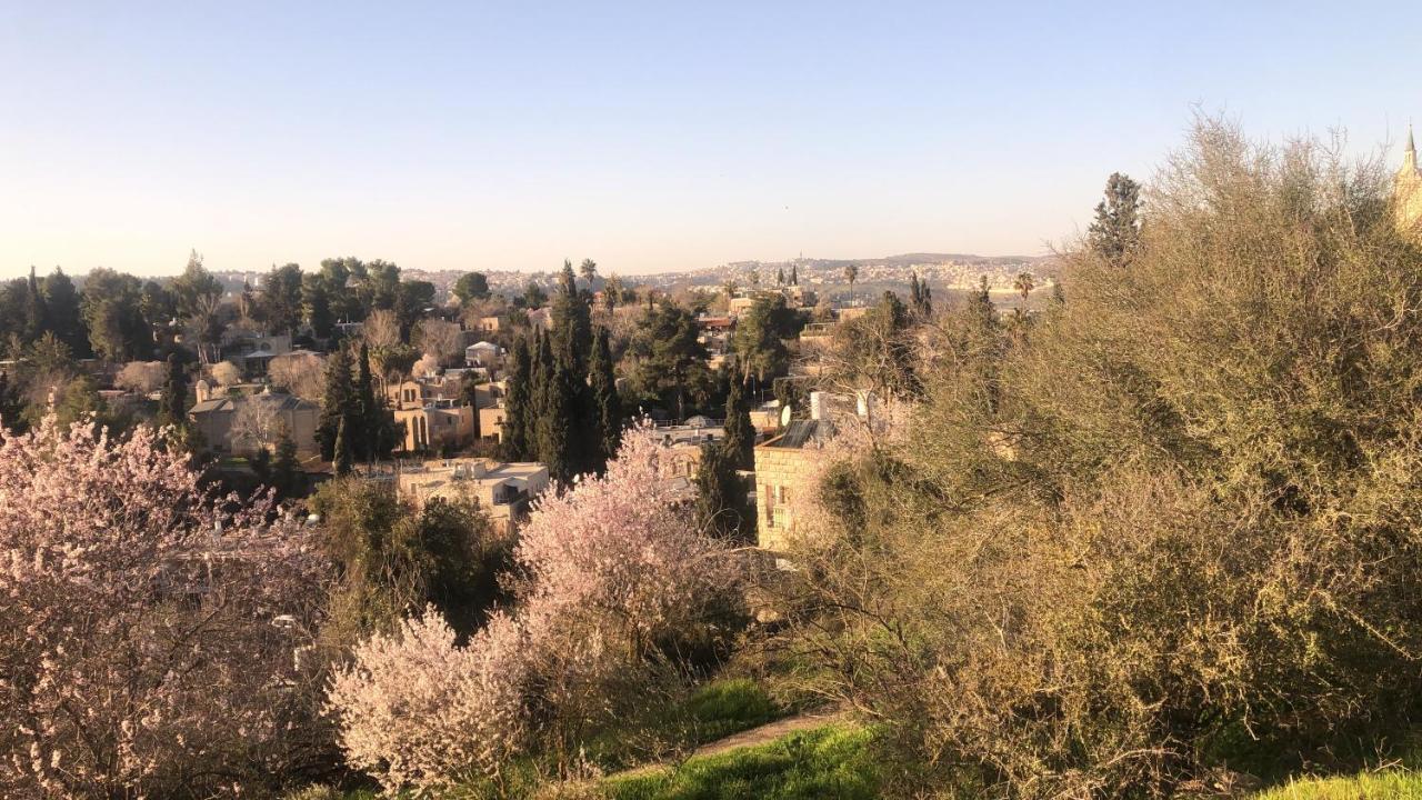 مبيت وإفطار القدس Sweet 'En Kerem View المظهر الخارجي الصورة