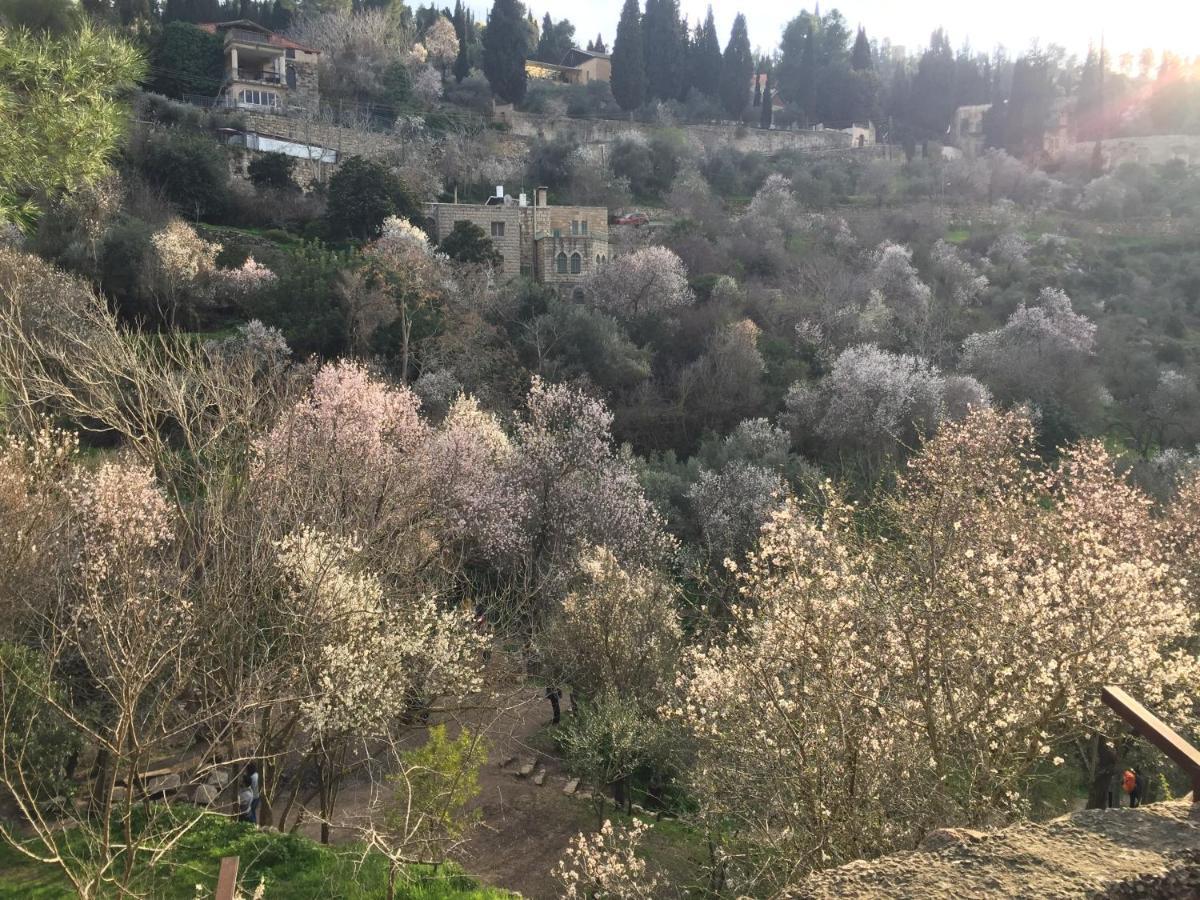 مبيت وإفطار القدس Sweet 'En Kerem View المظهر الخارجي الصورة